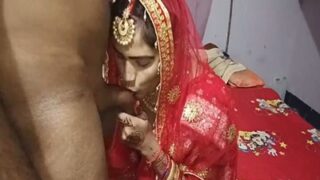Video Panas Istri Menggoda Dengan Mulut Di Malam Karwa Chauth