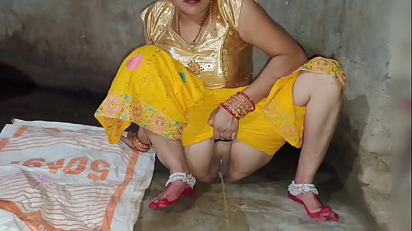 भाभी और देवर की जोरदार चुदाई की साफ हिंदी आवाज