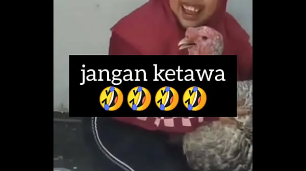 Gadis Montok Ngebass Sambil Ngeloyor Nafsu Liar