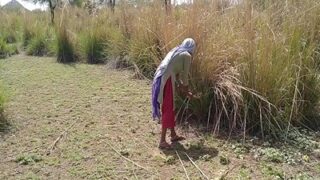 Video Mesum Desi Di Sawah, Si Bego Dan Kuli Kebun Main Cabul